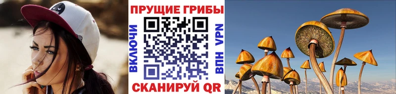 Псилоцибиновые грибы мухоморы  Купить где  Валуйки 